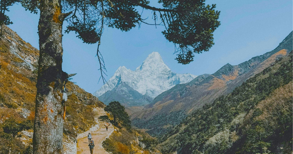 The Individuation Archive